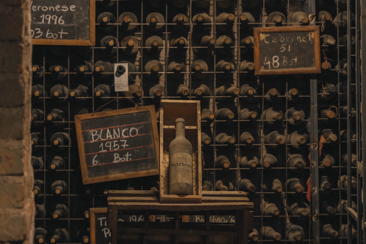 Vintage Norton wine bottles stored in a dimly lit wine cellar at Bodegas Norton, Mendoza, Argentina
