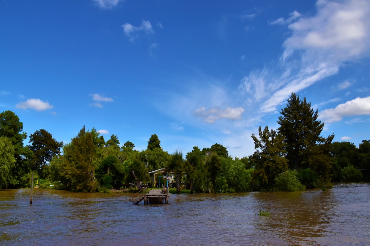A wooden dock on the Tigre Delta river surrounded by lush greenery, Buenos Aires Province