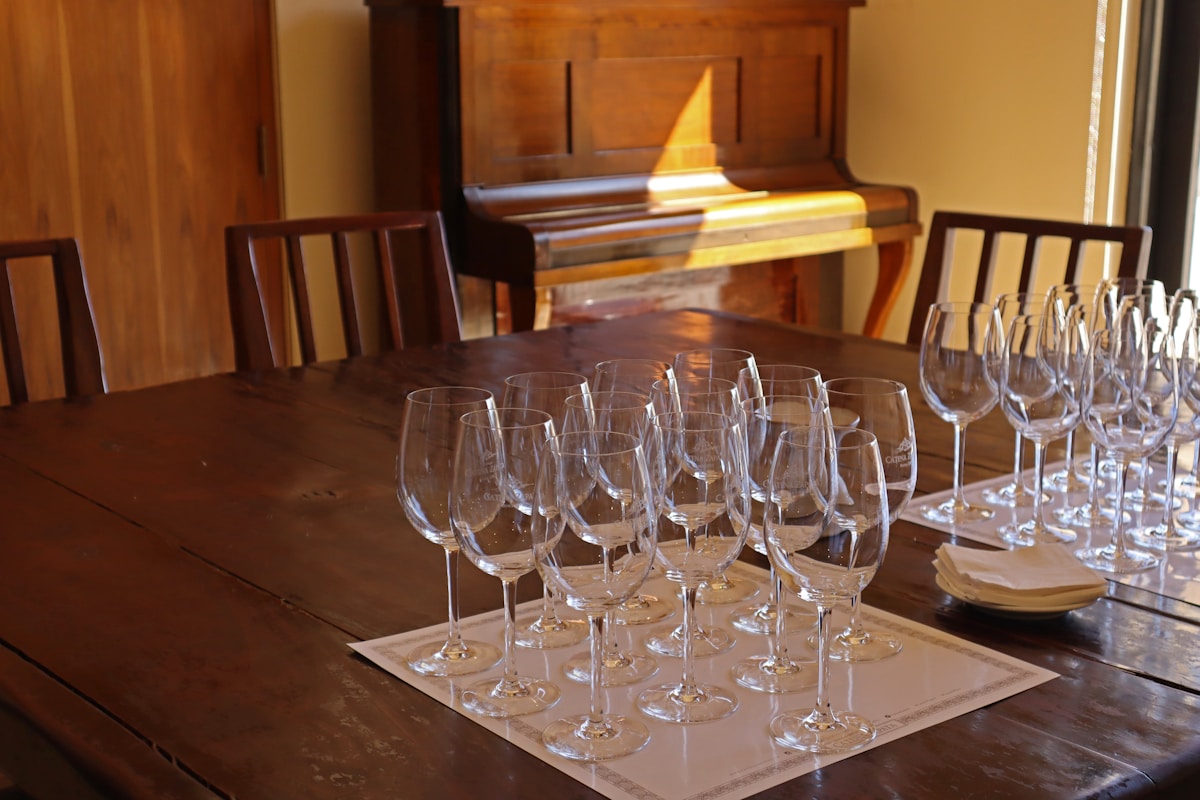 Wine tasting at a Mendoza bodega with Malbec glasses and vineyard views