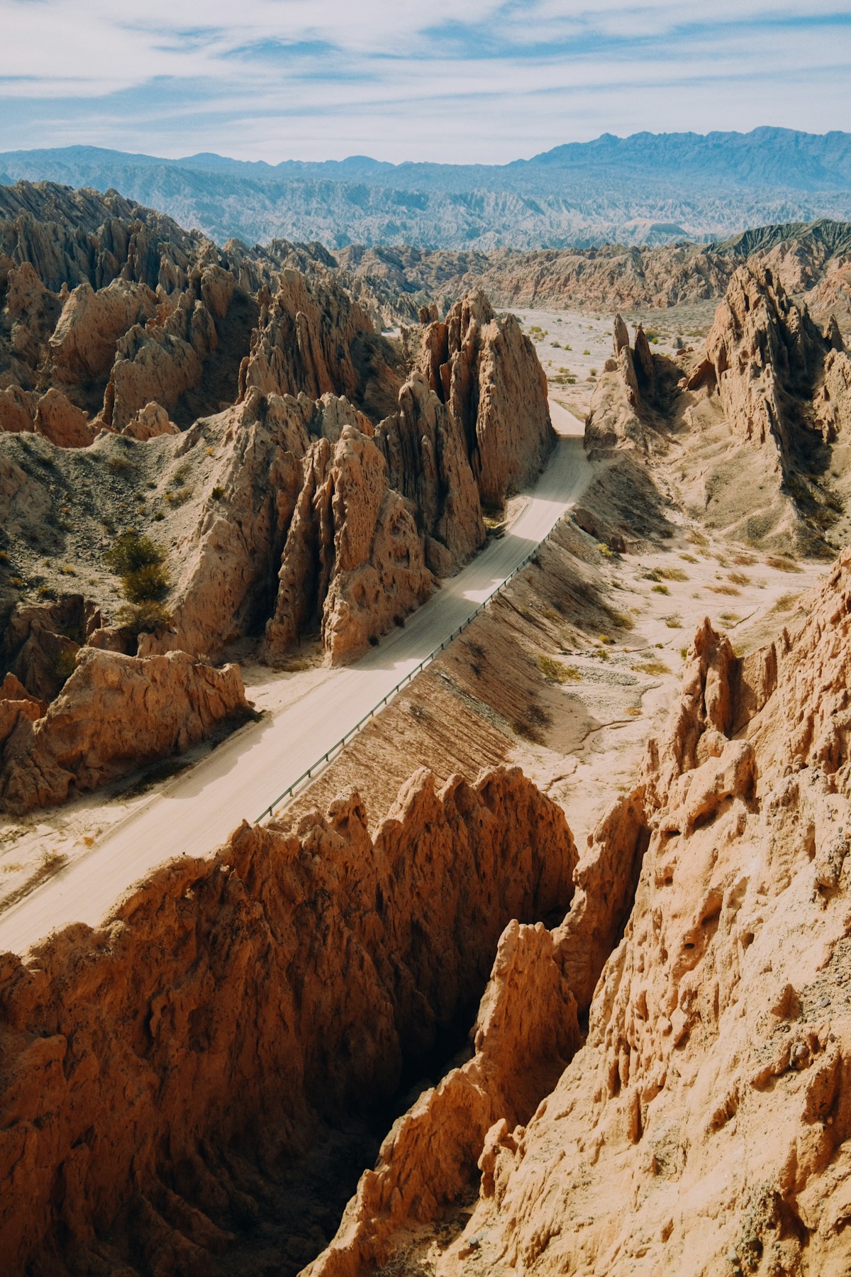 Vineyard rows with red-ochre canyon walls rising behind them near Cafayate, Salta Province