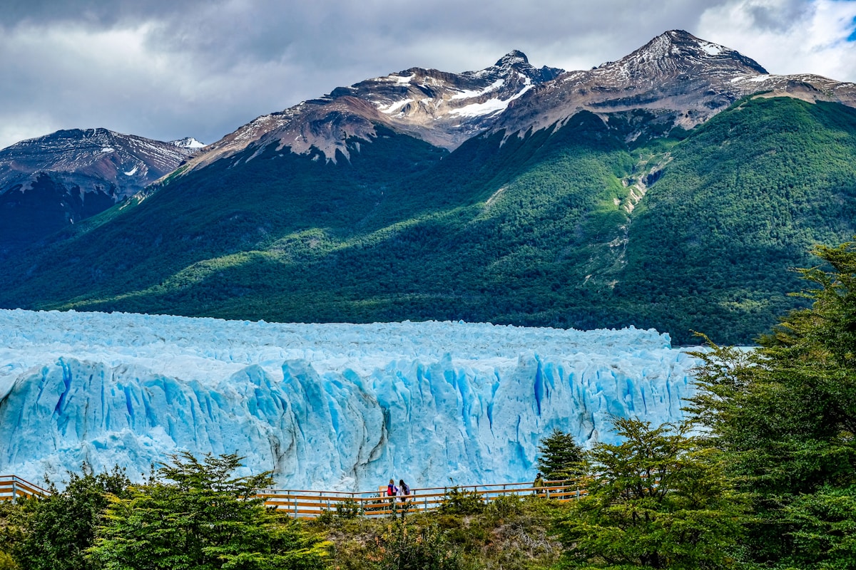 The massive blue-white face of Perito Moreno Glacier advancing into Lago Argentino, El Calafate