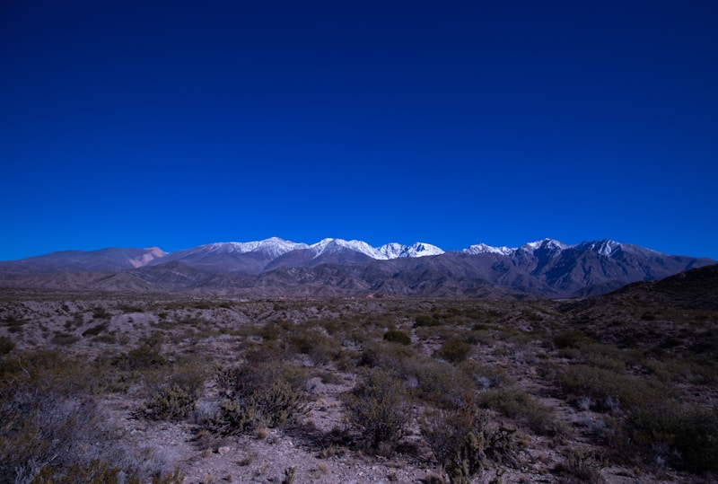 Arid desert plain with snow-capped Andean peaks on the horizon — Cuyo region, Argentina