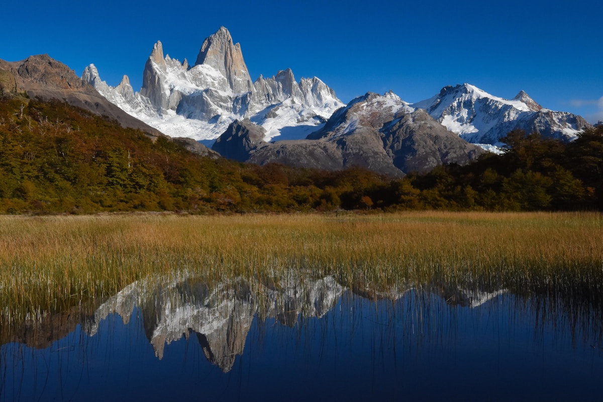 Fitz Roy massif reflected in a still wetland pond, El Chaltén, Patagonia, Argentina
