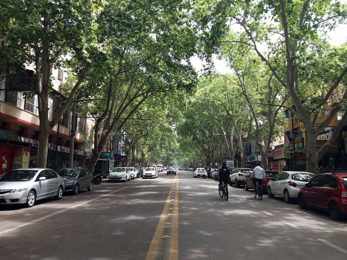 Cyclist on a wide tree-lined avenue in Mendoza city, Argentina