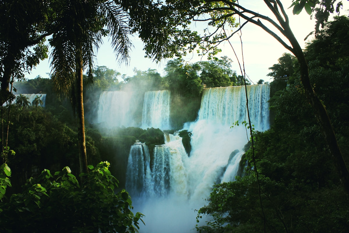 Iguazu Falls cascading through dense subtropical jungle, Misiones Province, Argentina