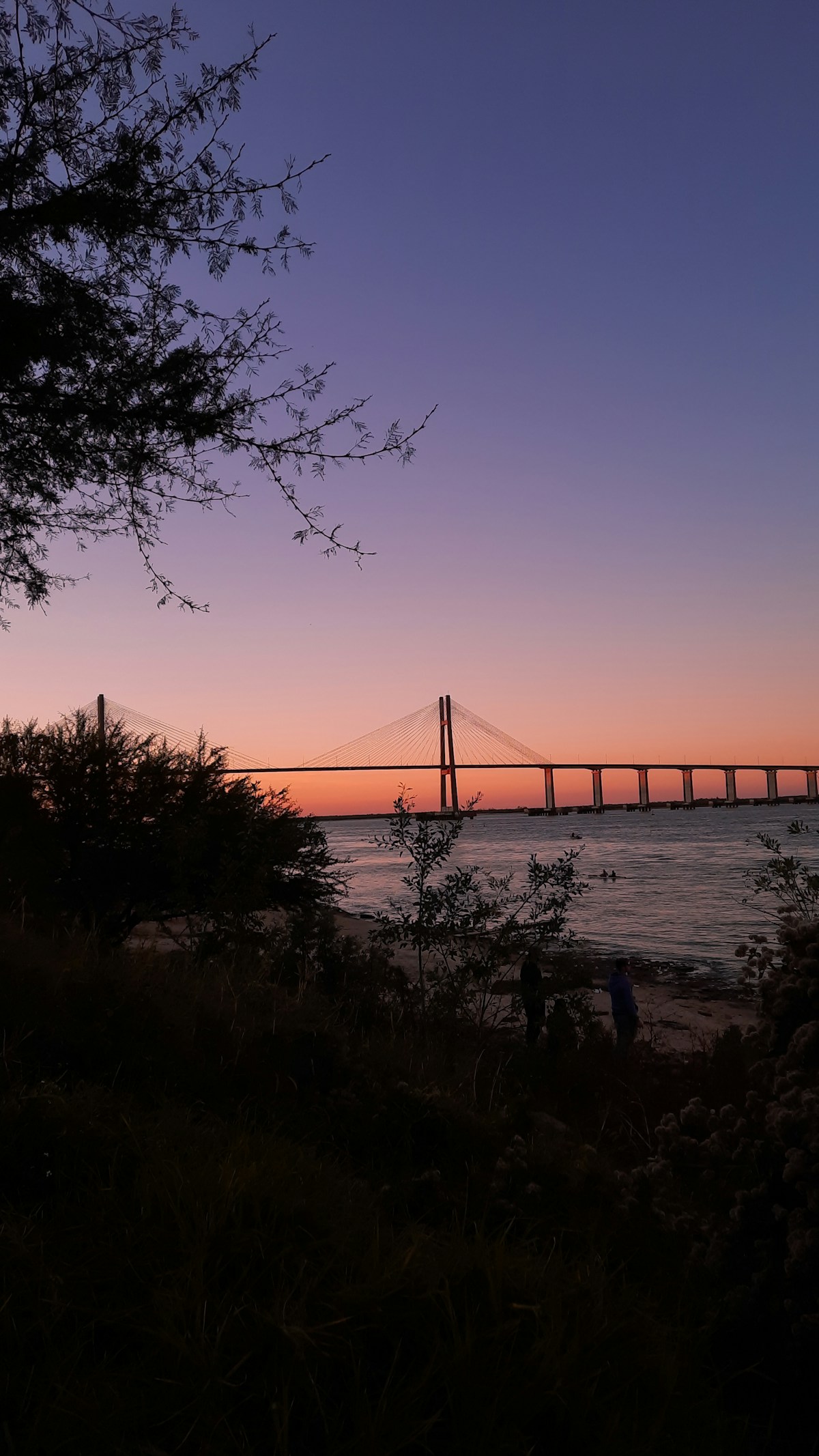 Puente Rosario-Victoria cable-stayed bridge over the Paraná River at sunset, Argentina