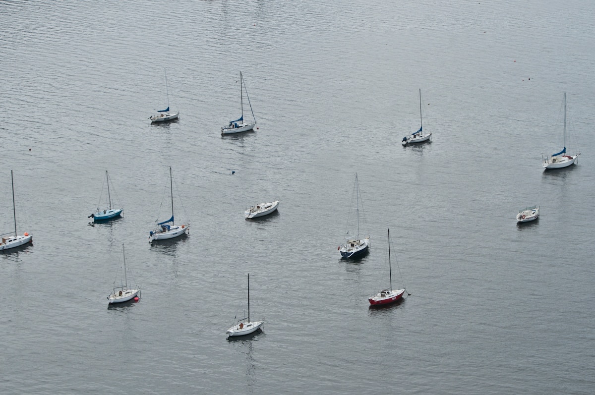 Sailboats moored in Ushuaia harbour with Beagle Channel in background, Tierra del Fuego, Argentina