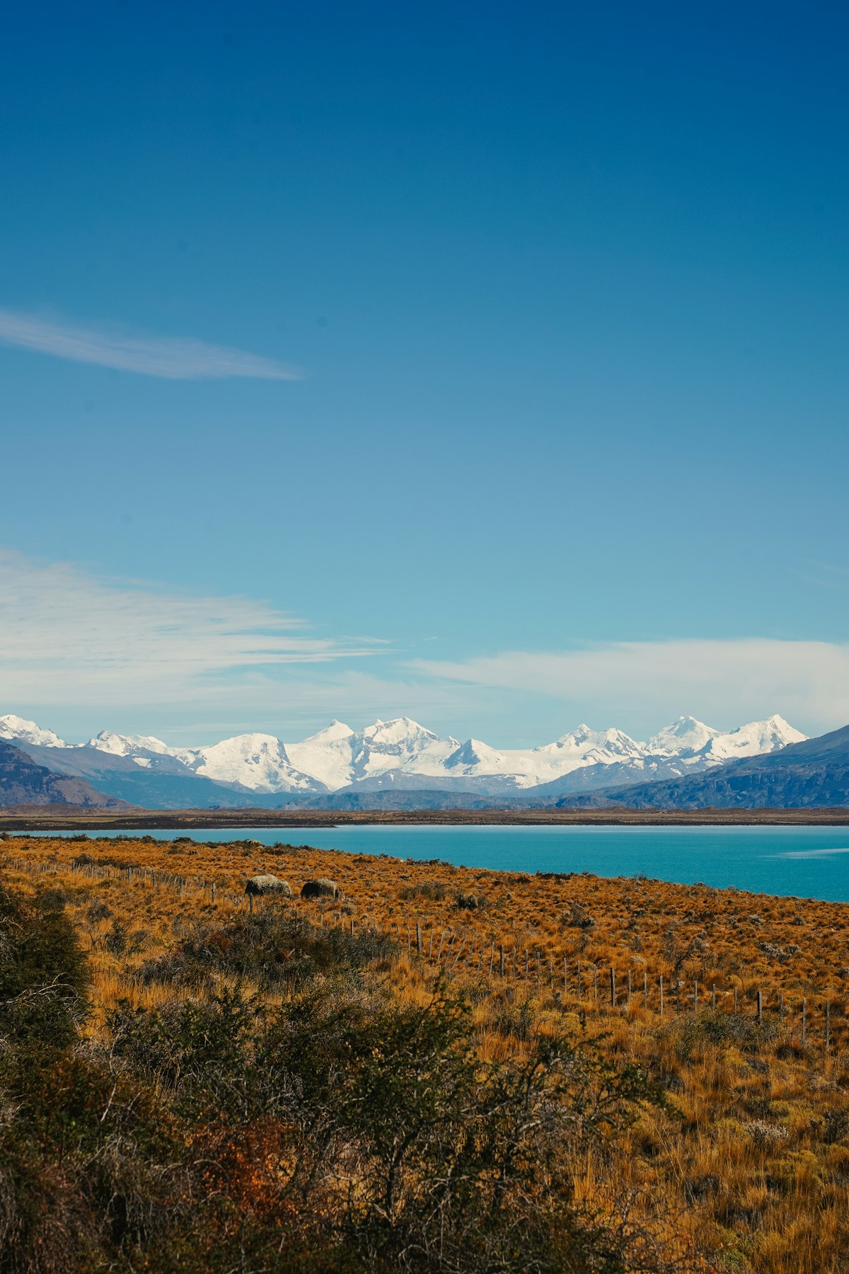 Turquoise glacial lake stretching towards snow-capped Patagonian mountains under a vivid blue sky, El Calafate, Argentina