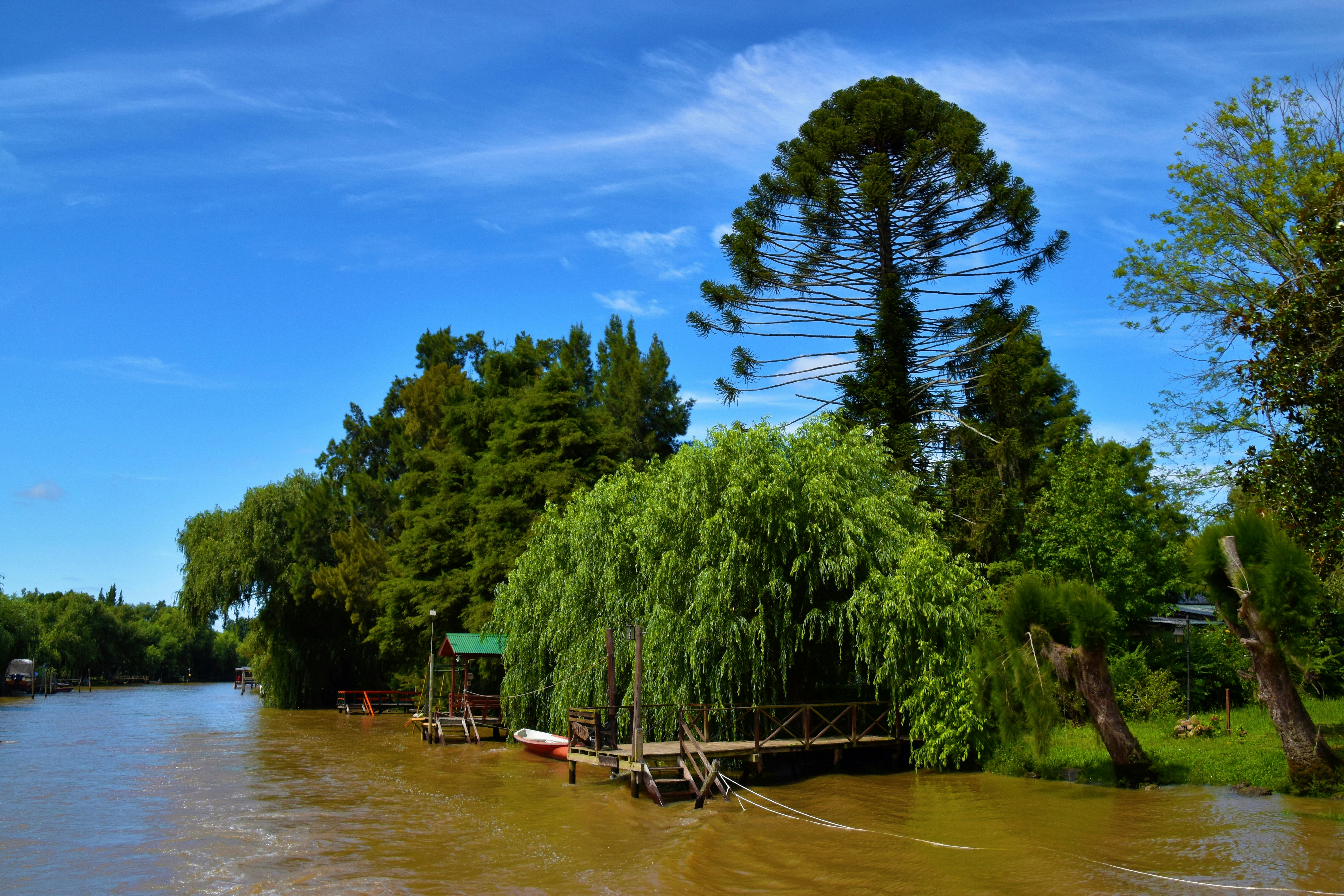 Lanchas y embarcaciones en el puerto de Tigre con el delta del Parana al fondo